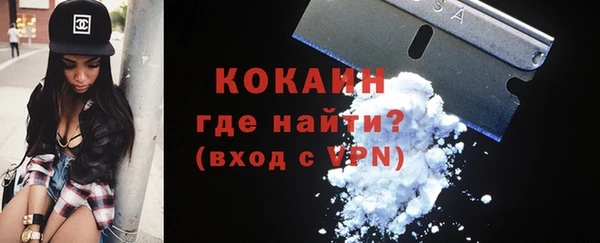 ешки Алексин