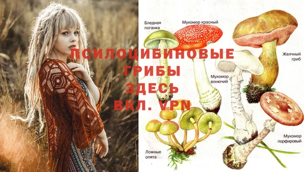круглые Абаза